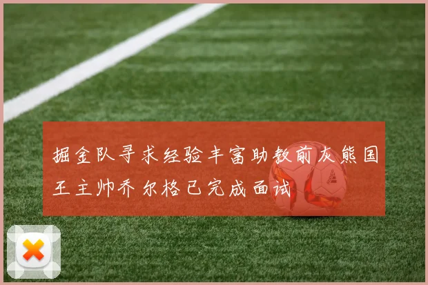 掘金队寻求经验丰富助教前灰熊国王主帅乔尔格已完成面试