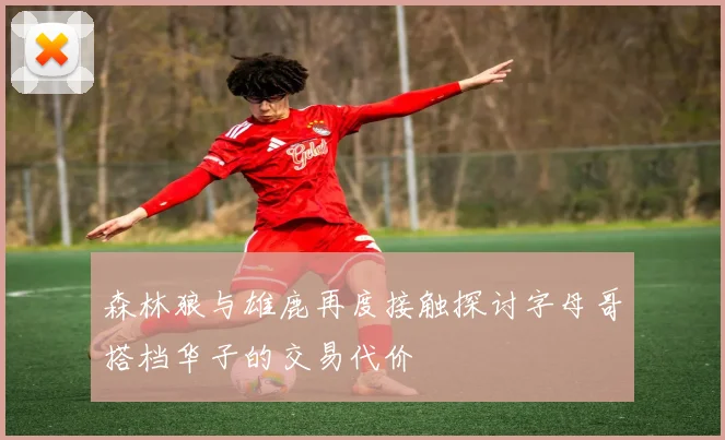 森林狼与雄鹿再度接触探讨字母哥搭档华子的交易代价