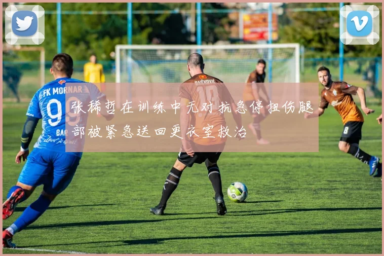 张稀哲在训练中无对抗急停扭伤腿部被紧急送回更衣室救治